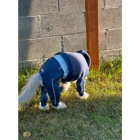 Denim Line Hooded Cropped Length