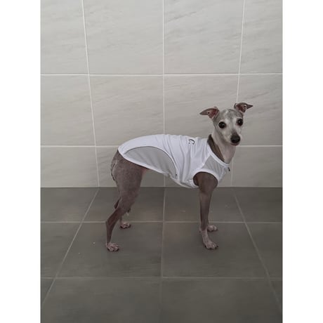 Anti Bug Cool Touch Tank Top WHITE