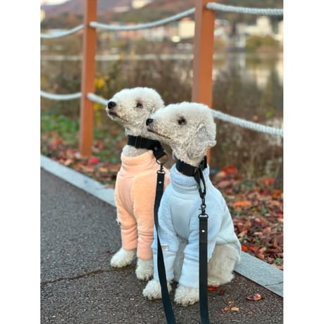 Mochi Fleece Orange