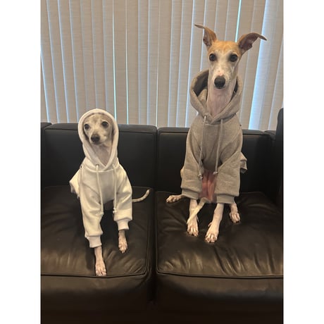 More Long Walks Hoodie Gray