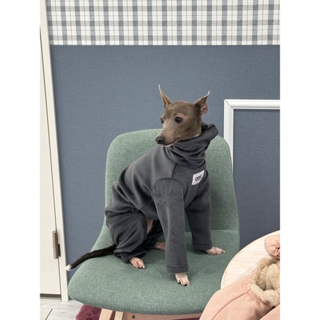 Velvet Golden All in one Gray