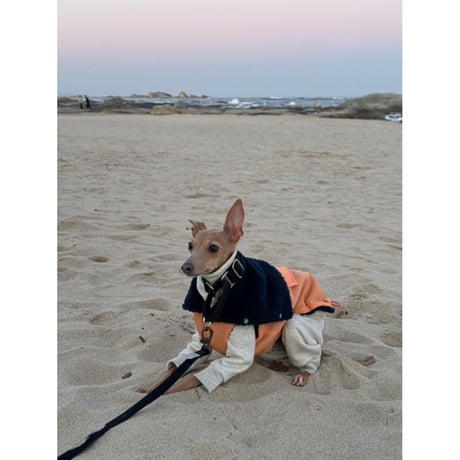 Windbreaker Vest Orange