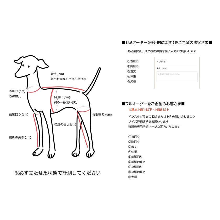 67c5656d16b4e902128281b3