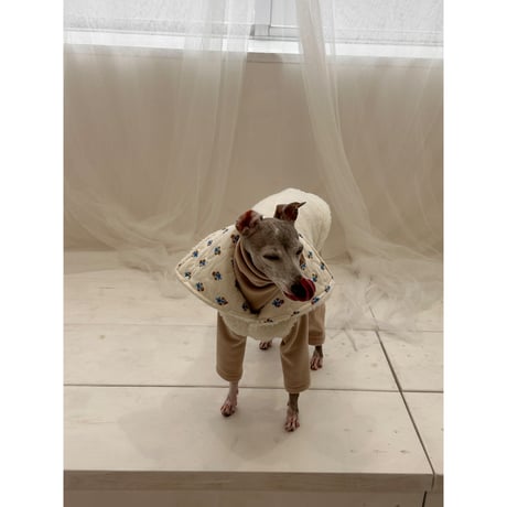 Velvet Golden All in one Pink Beige