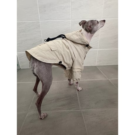 Pintuck Sleeve Jacket IVORY