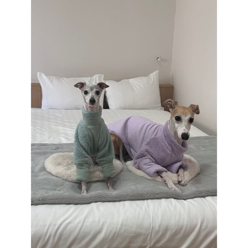 Mochi Fleece Purple | mignon select for dog