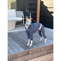 Denim Line Hooded Cropped Length
