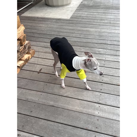 Quilted Color Sweatshirt Black&Lime