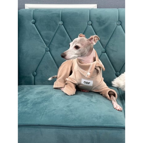 Velvet Golden All in one Pink Beige