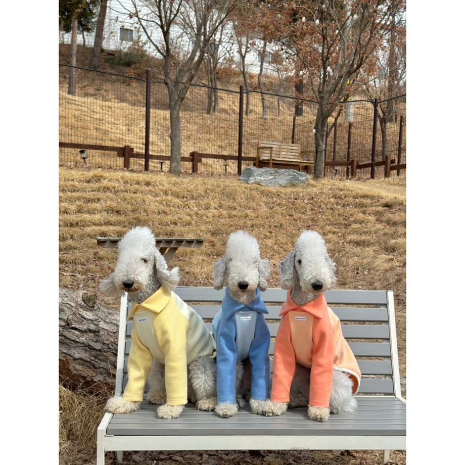 67e77232d8e56a4aebd459a5