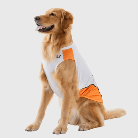 OTTO University Basketball Uniform SET UP WHITE