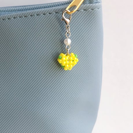 菜の花 | STORES