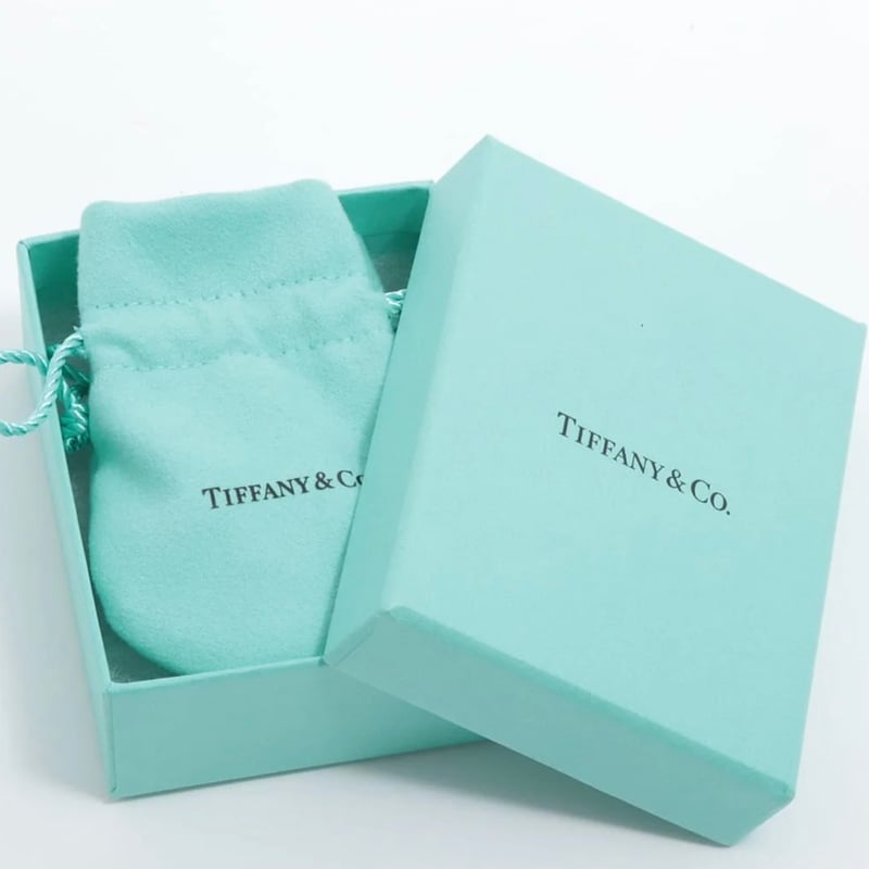 TIFFANY&Co. ティファニー Tワイヤー フープ ピアス 925SV 希少廃番品
