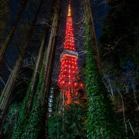 東京タワー | STORES