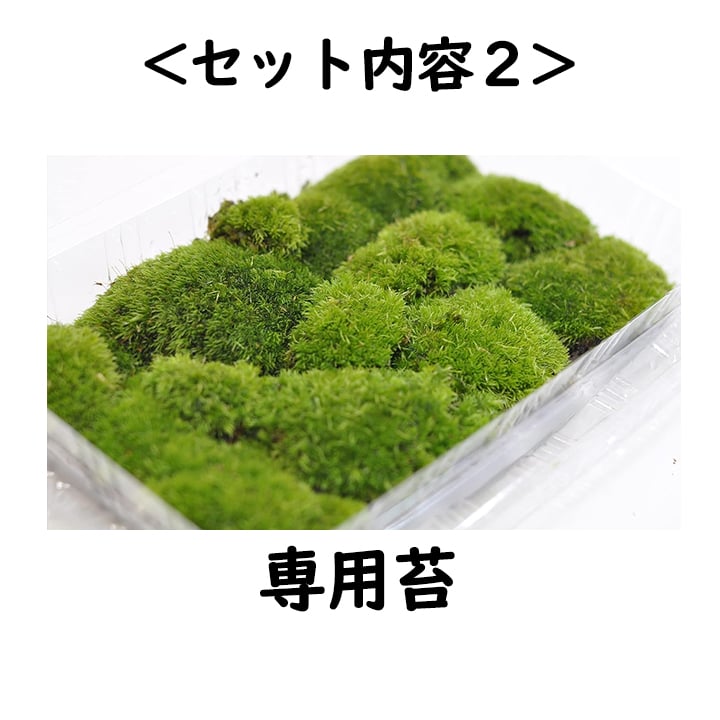 [選べるパワーストーン入り]アーシングポットキッド（芝生タイプ） 選べるパワーストーン入り]アーシングポットキッド（芝生タイプ）