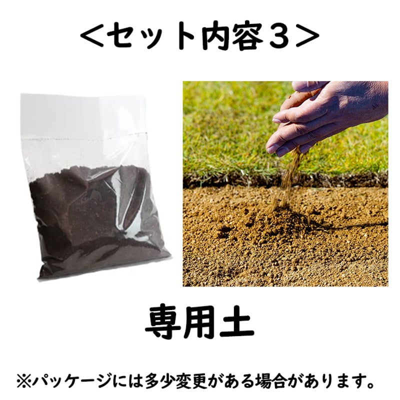水晶入りアーシングポットキット（苔タイプ） 水晶入りアーシングポットキット（苔タイプ） | otu-shop