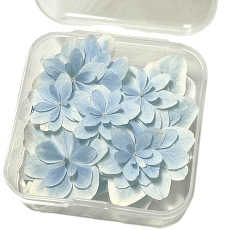 レジン用ドライフラワー | STORES