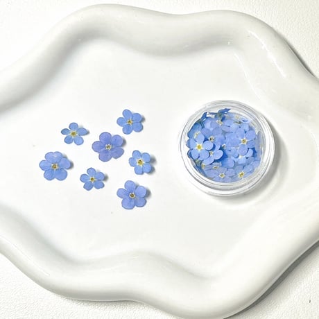 レジン用ドライフラワー | STORES