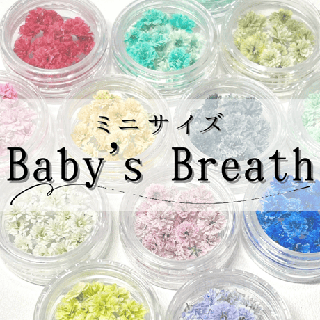 k.flower/mina様♡【ドライフラワー】アリッサム （ 687 レジン） k.flower/mina様♡【ドライフラワー】アリッサム （ 687 レジン）