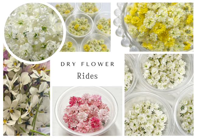 Dry Flower Rides