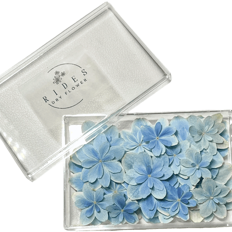 レジン用ドライフラワー | STORES