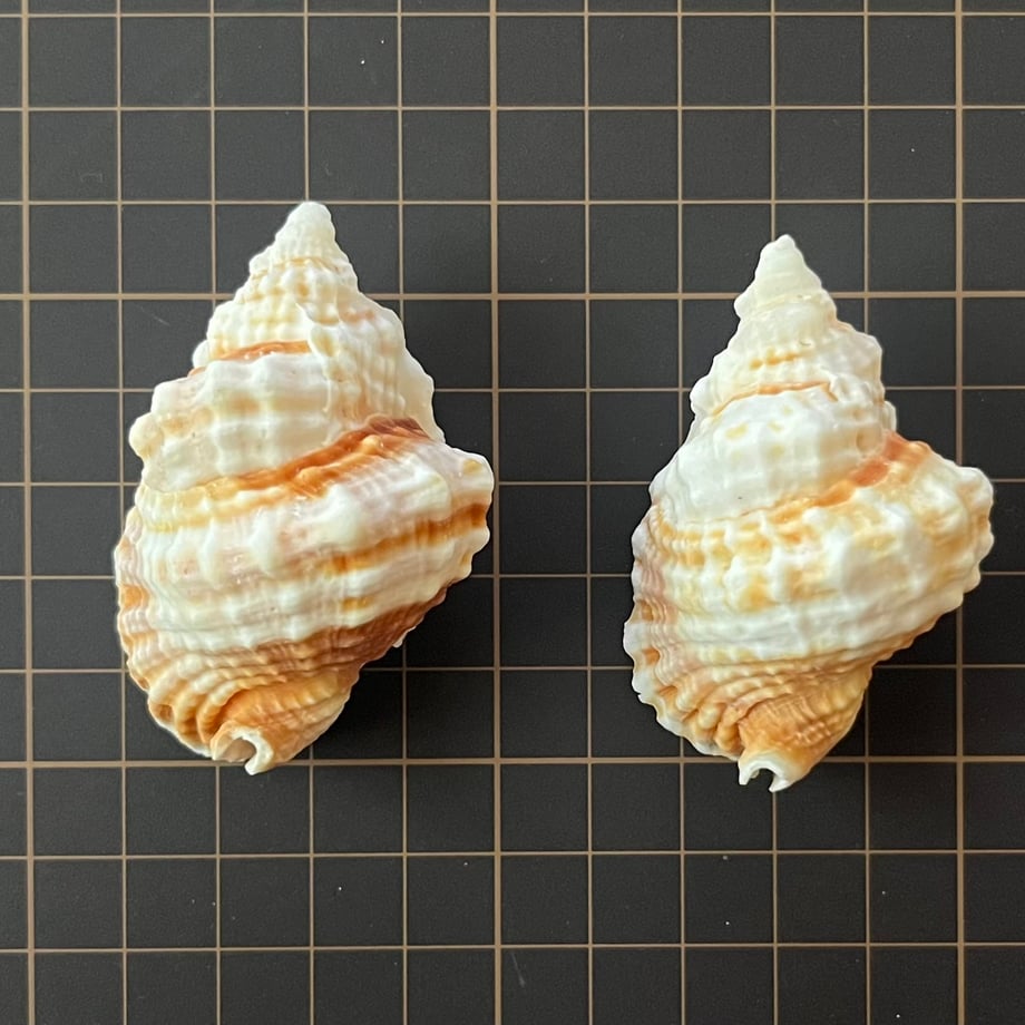 678a259f3fed3c036651692b