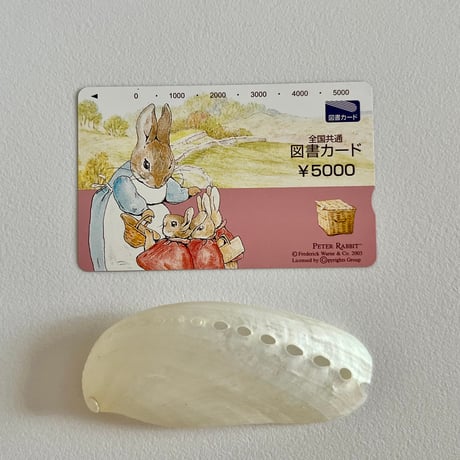 アバロンシェル