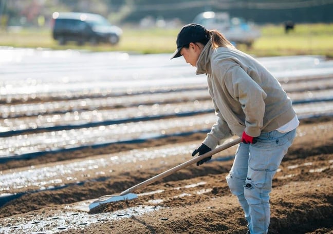 ランドビルドファーム