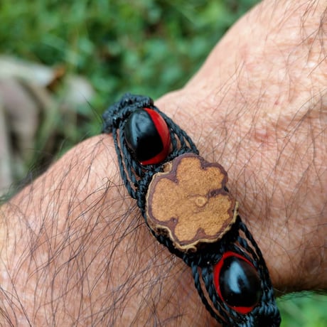 モッチーラコロンビアーナ