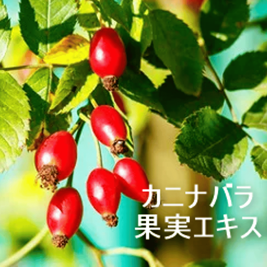 67a5532ce5a6e621a538c6d9