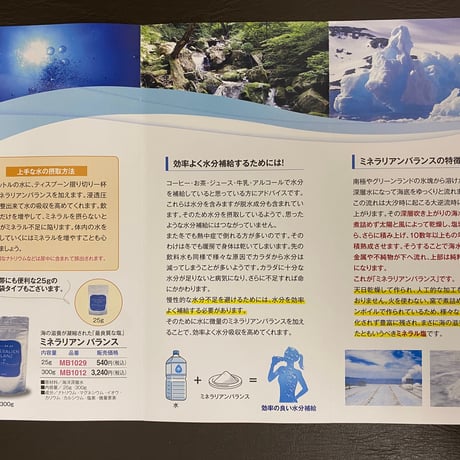 ミネラリアン バランス   300g