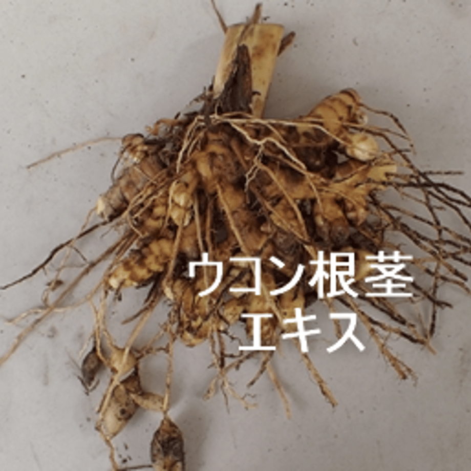 67a5532ce5a6e621a538c6d9