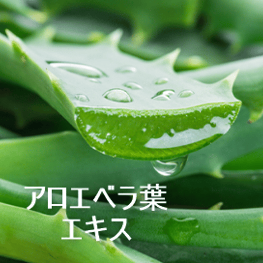67a5532ce5a6e621a538c6d9