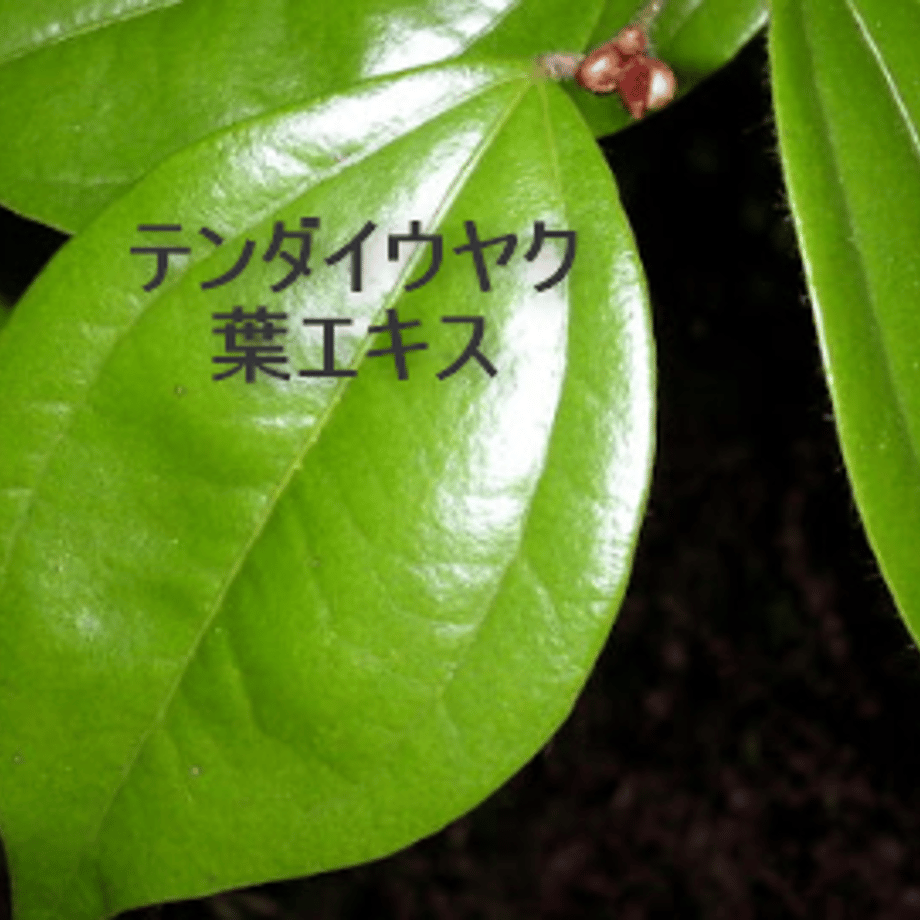 67a5532ce5a6e621a538c6d9