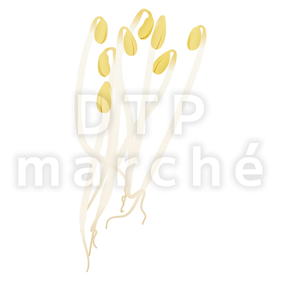 67be965eef91a70203bdf846