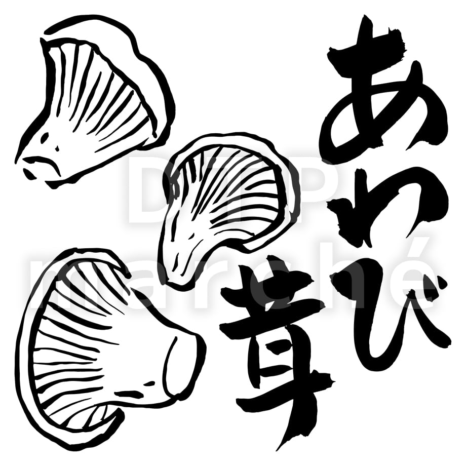67b7fdd5fdfc8d03d46f167d