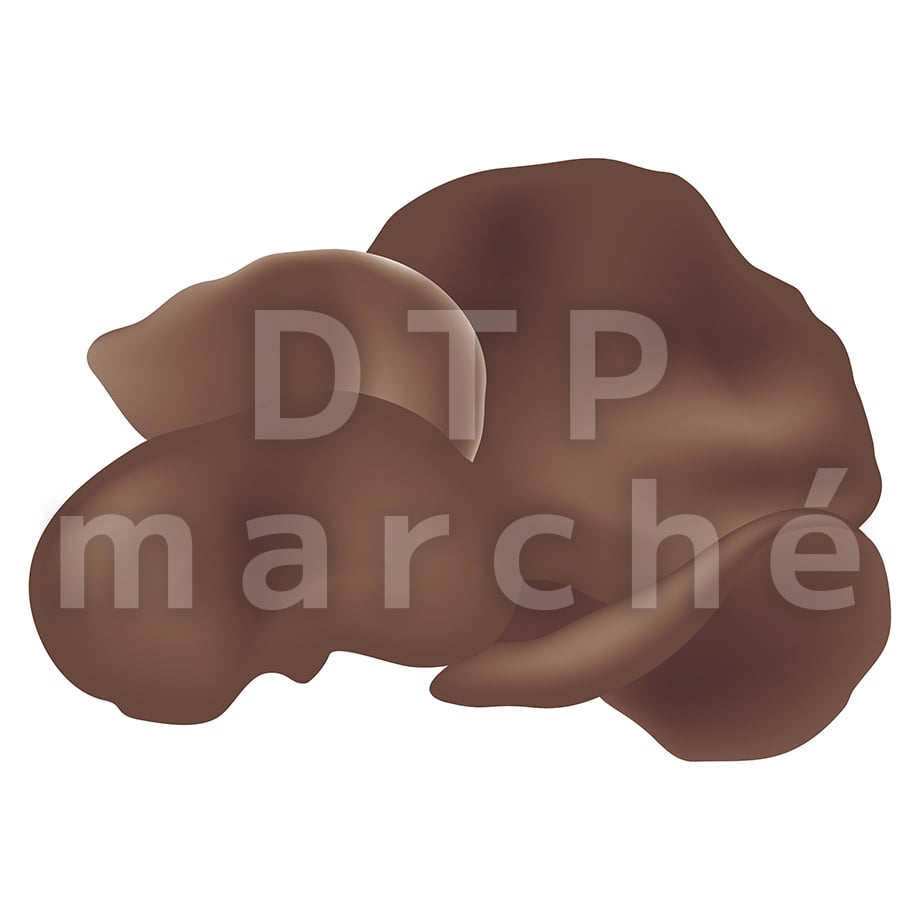 67b80db11b359a02a930a2e0