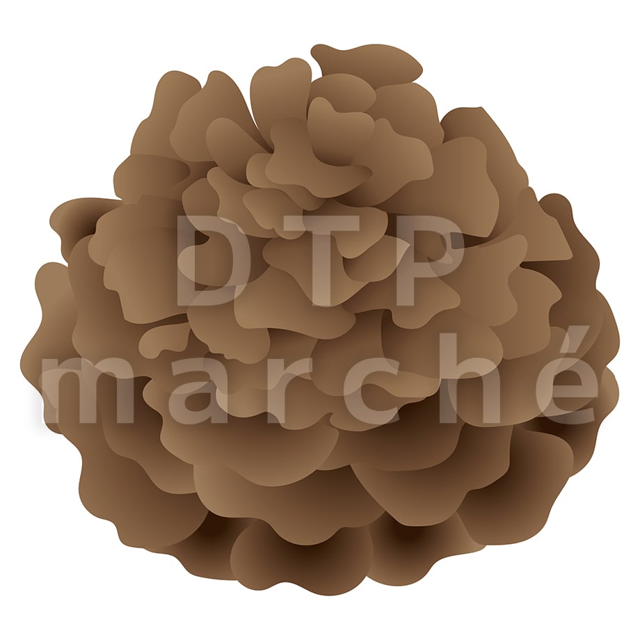67b80466fdfc8d05b46f169a