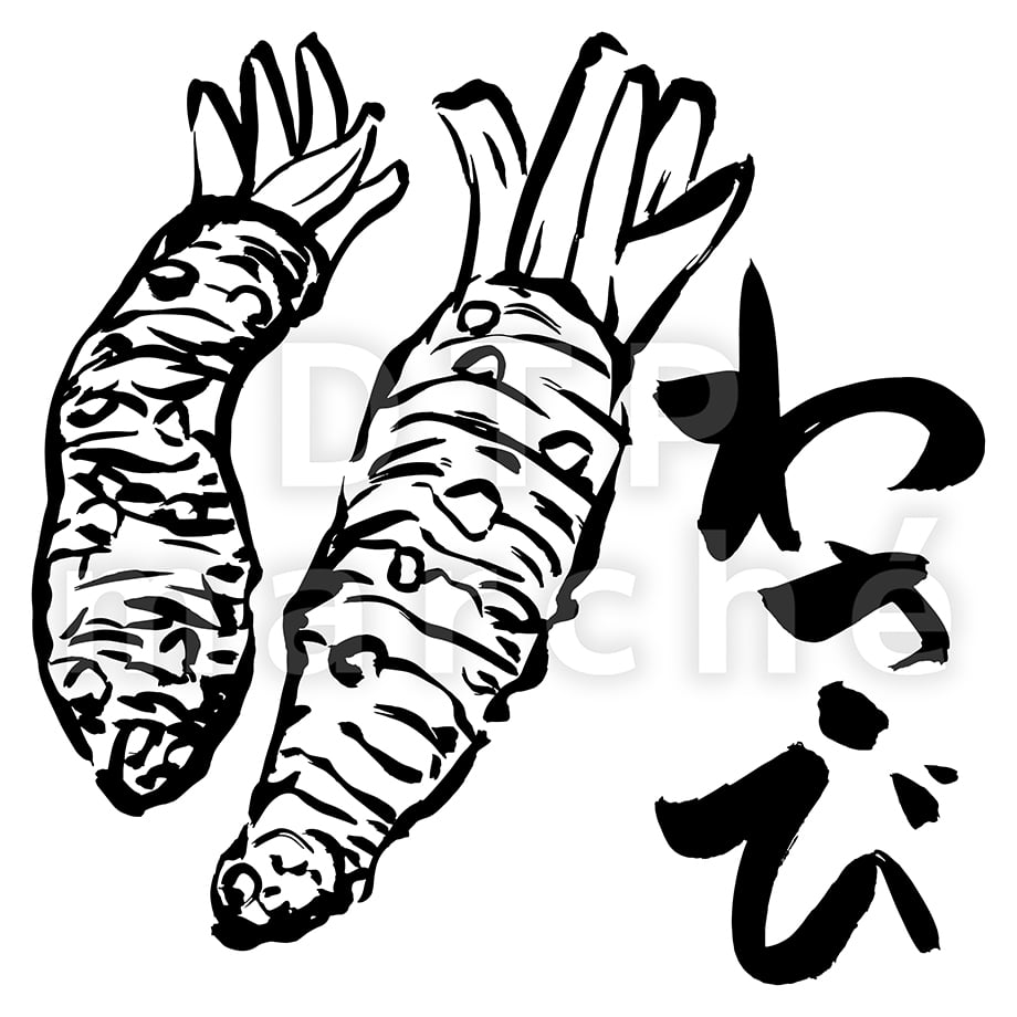 67be5eb02514e801d69a6e41