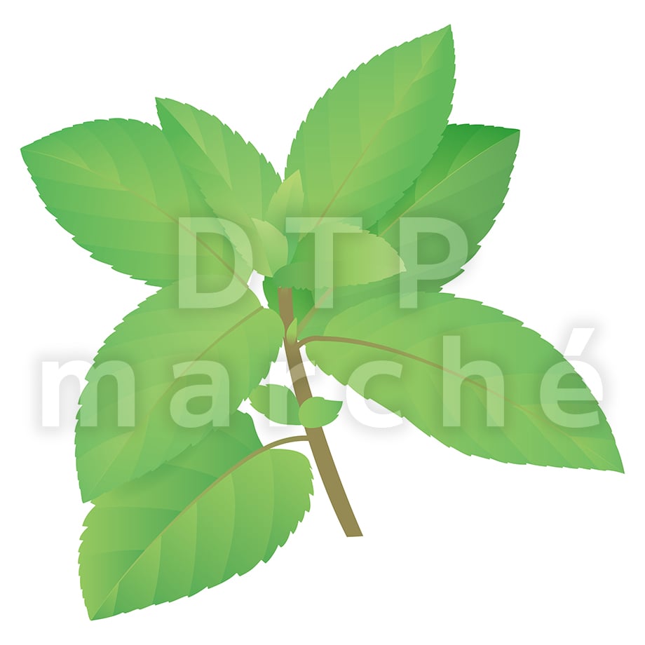 67bd0d2055979802dfda6c91