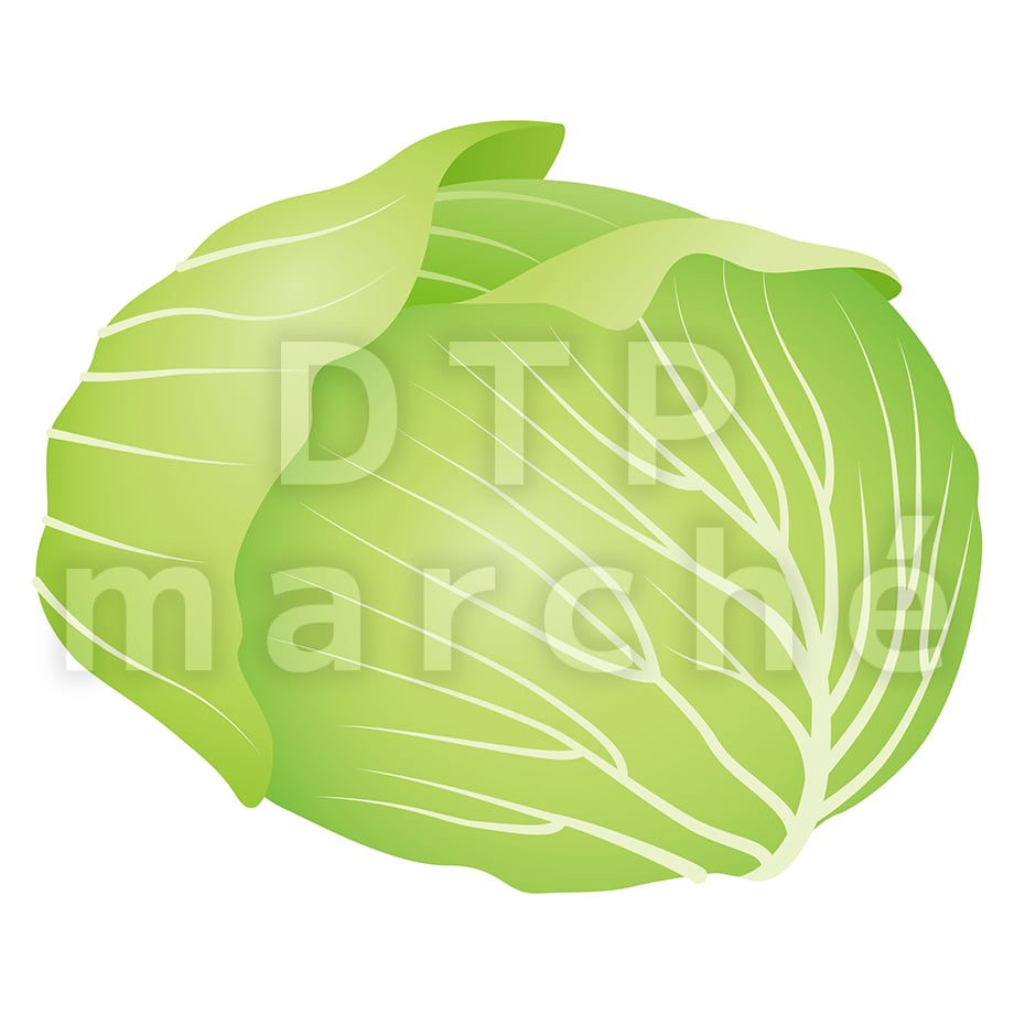 67bfb888ff39a106244dbf19