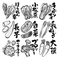 冬野菜の墨絵イラストセット-010004