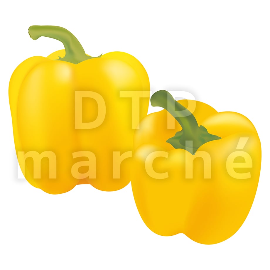 67bea67584748702a4dc6a84