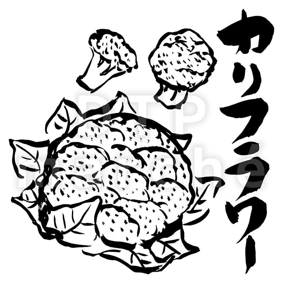 67be6d5e2514e8069e9a6e9b