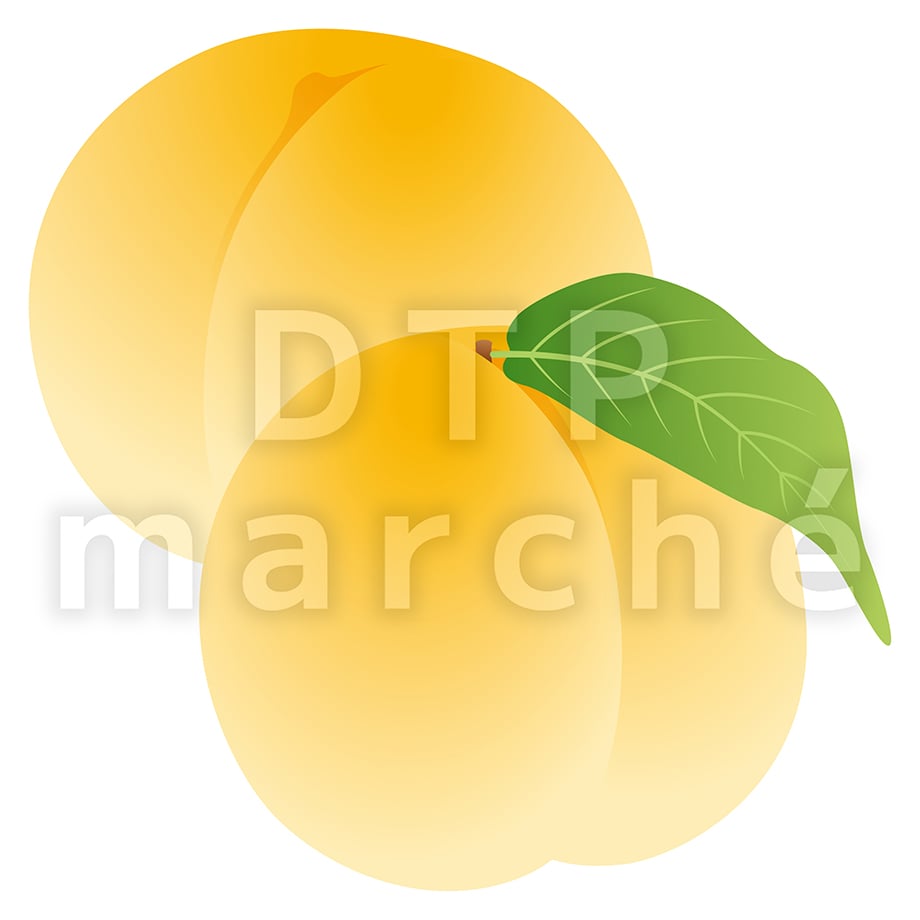 67bd24d9c65008027f9ae7cb