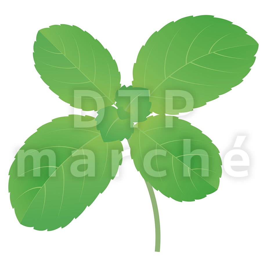67bd0dcab8793a0626c9f9df