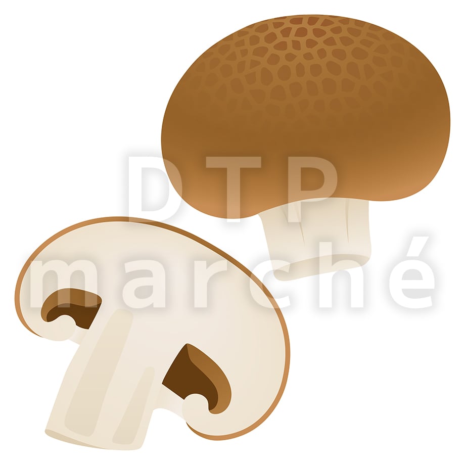 67b800423e49aa04c23a36fc