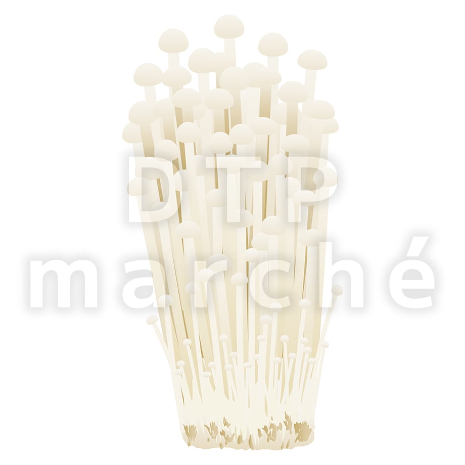 67b80fec1d175c03a017db03
