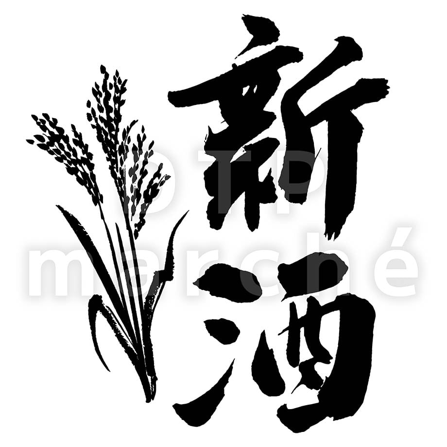 68ccecbfcc85d0004aee2f33