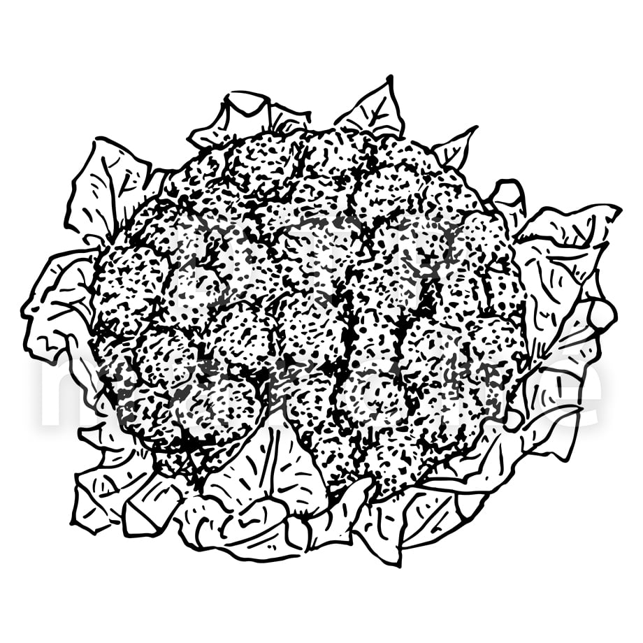 67be7d9677bc66032495b304